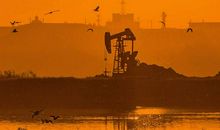 跟着芦苇去远方