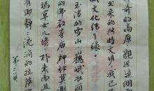 写给七爷爷的信