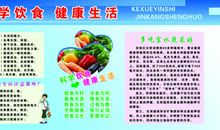 我学会了科学饮食