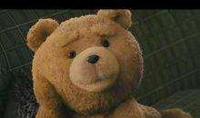 我的知心朋友——泰迪熊