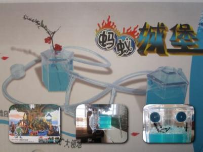 有趣的蚂蚁城堡