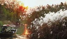 秋日的西溪湿地