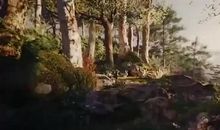 凤凰涅槃浴火重生