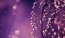 有一种美叫尊重