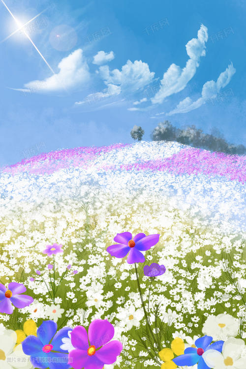 花海郊游