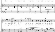 假如我有一架神奇的七色钢琴