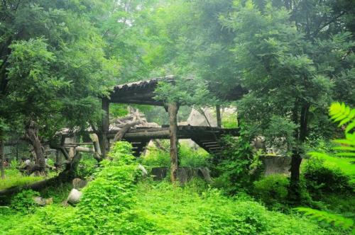 参观长沙动物园
