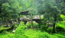 畅游长沙动物园