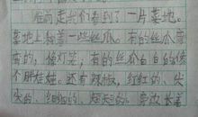 这样的人让我什么作文600字初中