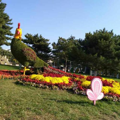 感恩之花在青春之路上绽放