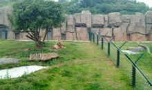 长沙生态动物园一日游