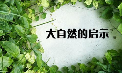 大自然的启示
