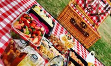 我们的“野餐”