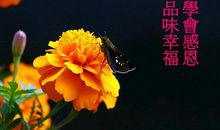 学会感恩，幸福成长