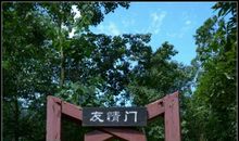 打开友谊的一扇门