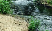 小溪旁处美景多