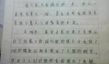 学写传记作文600字