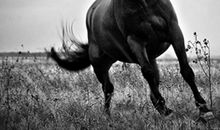 奔跑人生之璀璨