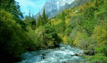 我爱家乡的青山