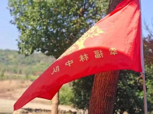 戛纳荒野
