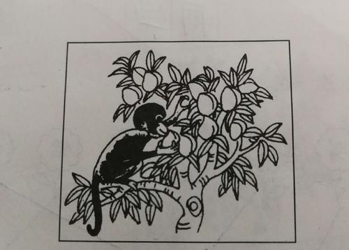 半心半意的小猴子看着图片写词
