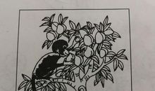 三心二意的小猴子看图写话