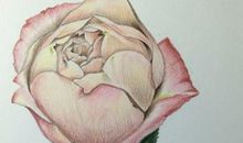 彩色铅笔的自述