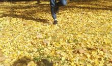 永远走在爱的路上