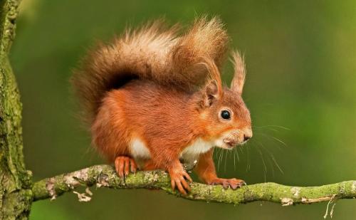 那些有趣的事情