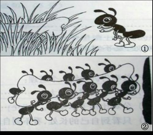 小虫子，蚂蚁和蝴蝶看着图片写字