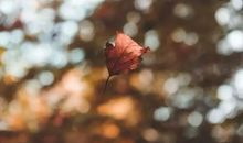 不求精彩，只求简单