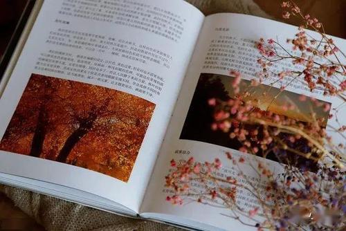 预订我生命中的一部分