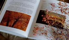 书我生命中的一部分