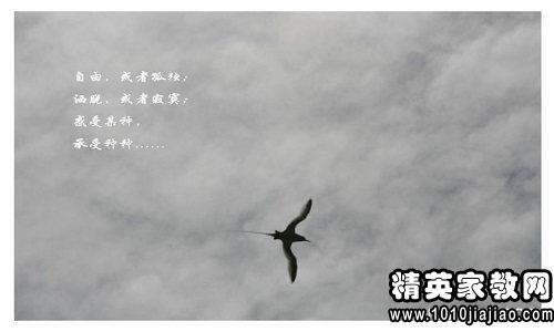放开过去，展望未来