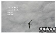 放下过去，展望未来
