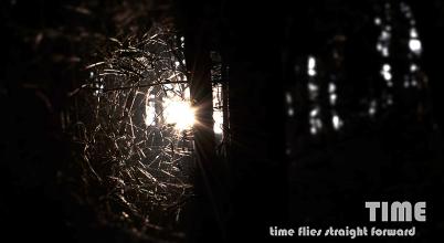 如果时间可以留下