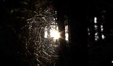 假如时间可以停留