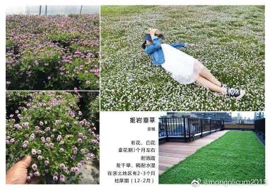 拾起旧梦