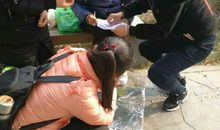 植物园移花问道