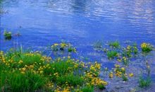 祖国的大好河山美景如画