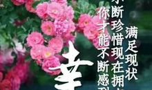 我得到了什么？