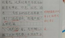 三年级下我的植物朋友作文300字