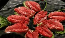 古韵味浓情更浓