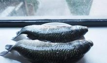 一次特殊的洗菜经历