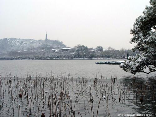 西湖雪景