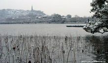 西湖的雪景
