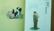 《牧羊猪》读后感