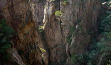 操场上的缤纷四季