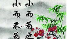 不以善小而不为