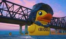 跟屁虫一样的“三只小黄鸭”